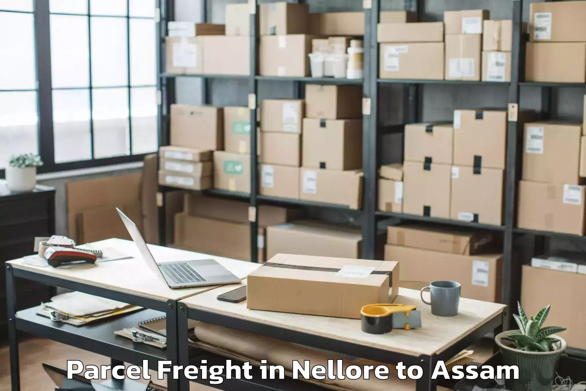 Book Nellore to Abhayapuri Parcel Freight